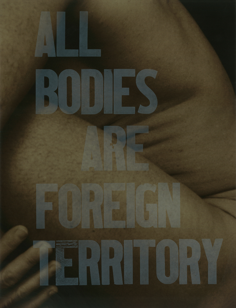 bodies